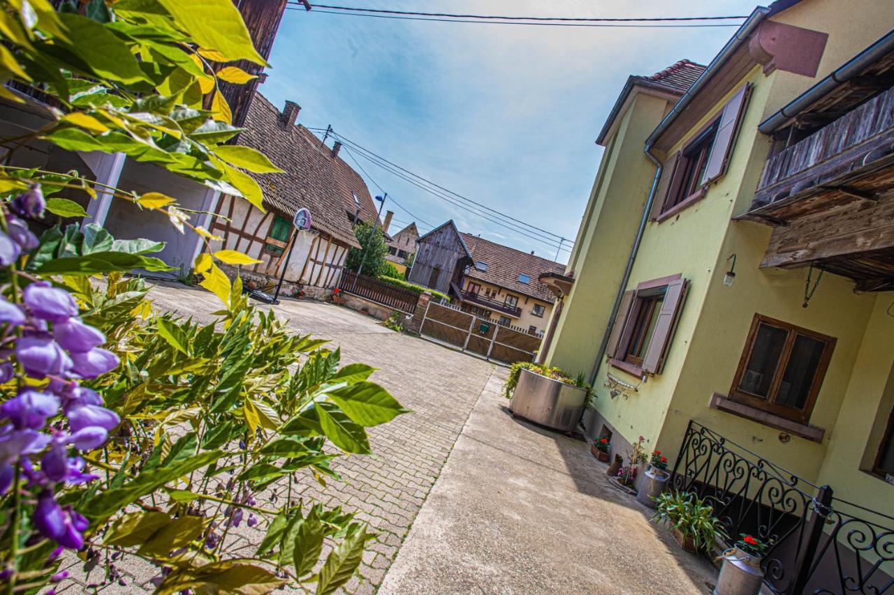 Gite Le Coeur D'Alsace Boofzheim Exteriér fotografie