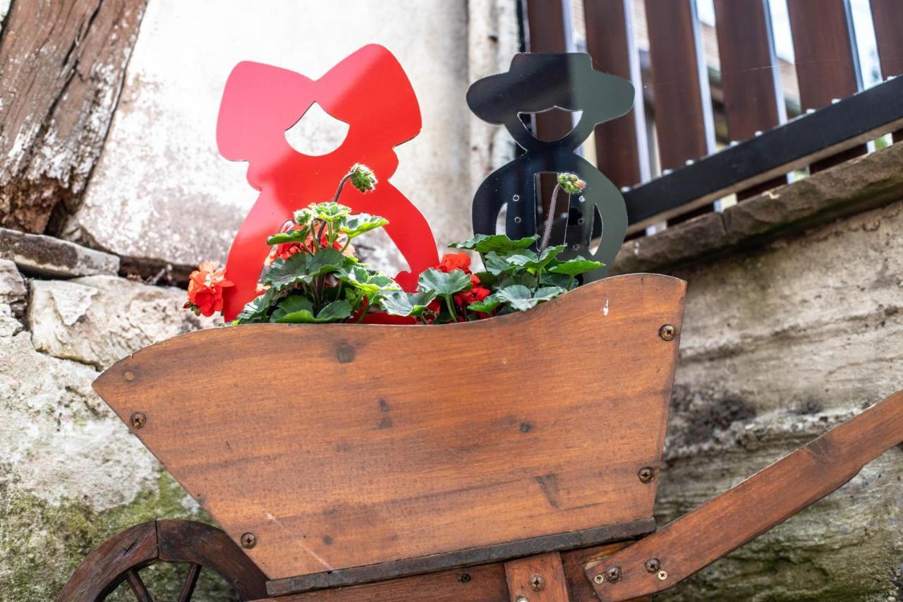Gite Le Coeur D'Alsace Boofzheim Exteriér fotografie